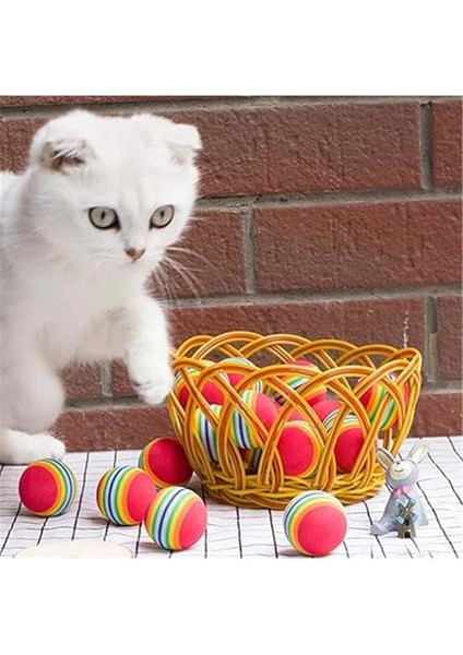 Sünger Kedi Köpek Çiğneme ve Oyun Topu 4 Adet