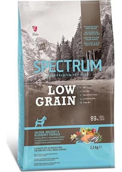 Lg Somon Hamsi Yaban Mersini Mini Irk Yavru Köpek 2,5 Kilogram