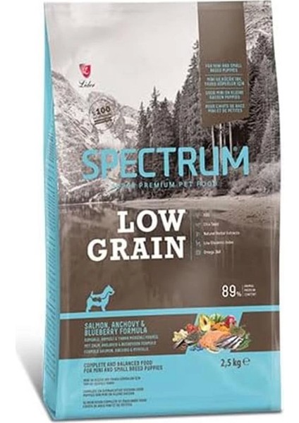 Lg Somon Hamsi Yaban Mersini Mini Irk Yavru Köpek 2,5 Kilogram modelleri
