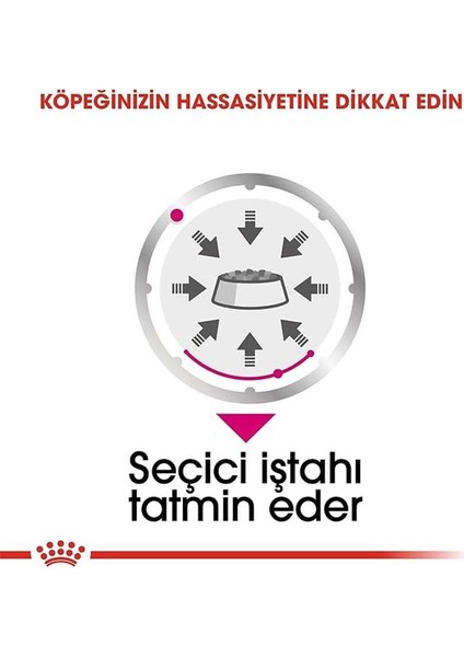 Ccn Exigent Köpek Yaş Mama, 85 gr indirimleri