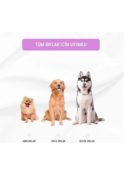 Köpek Oyuncağı 2 Adet Köpek Topu Eğitim Topu Stres Ipten Top 9 cm Büyük fiyatları