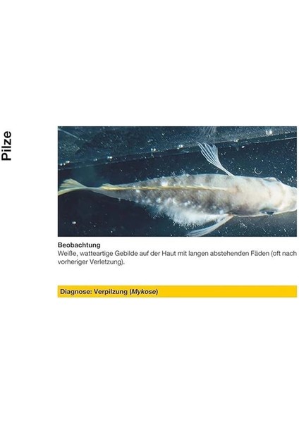 Costapur 50ML Akvaryum Dış Parazit Ilacı