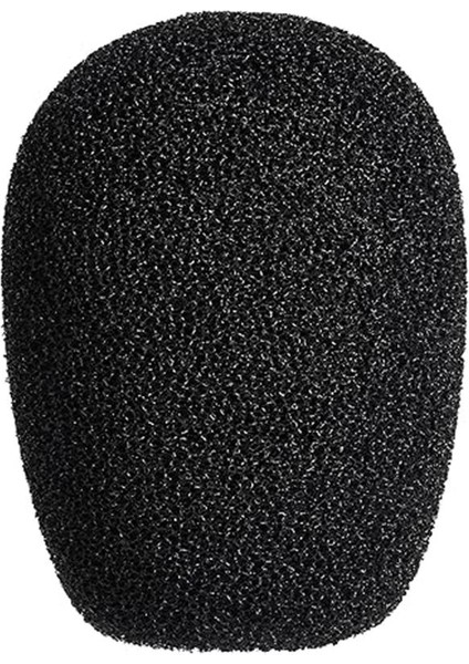 Audio-Technica BPHS2CA Yayın Stereo Kulaklık Kondansatör Mikrofonlu (Xlr + 6.3mm)