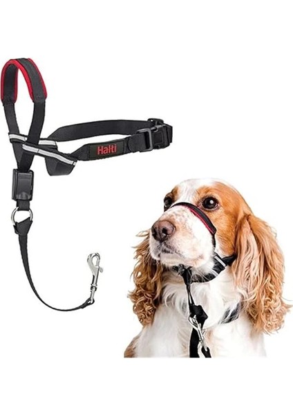 Halti Optifit Baş Tasması - Dolgulu Burun Bandı, Ayarlanabilir ve Yansıtıcı, Orta Boy Köpekler Için