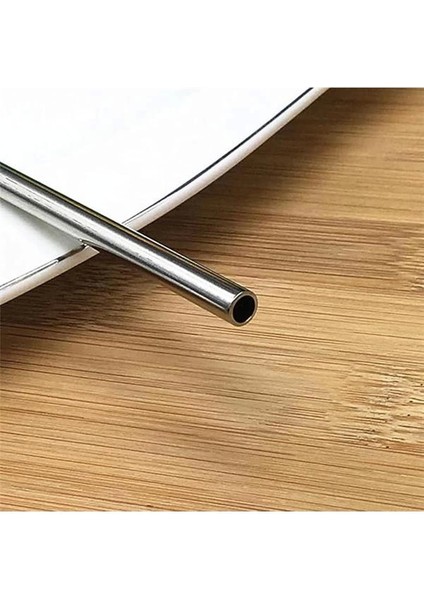 Paslanmaz Çelik Pipet, Temizleme Fırçası, Metal Pipet 2'li fırsatları