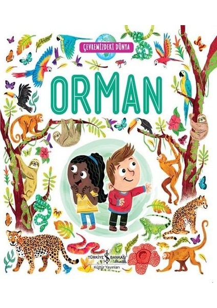 Orman - Çevremizdeki Dünya