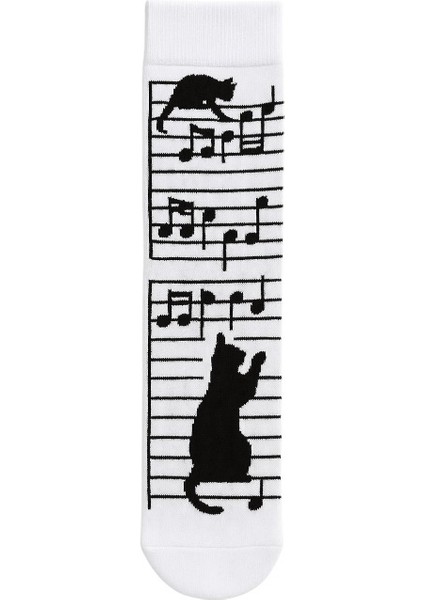 Kedi Desenli 4’lü Renkli Çorap Seti indirimleri