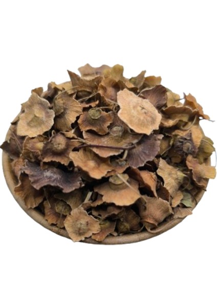 Karaçalı Otu 25 gr fiyatları