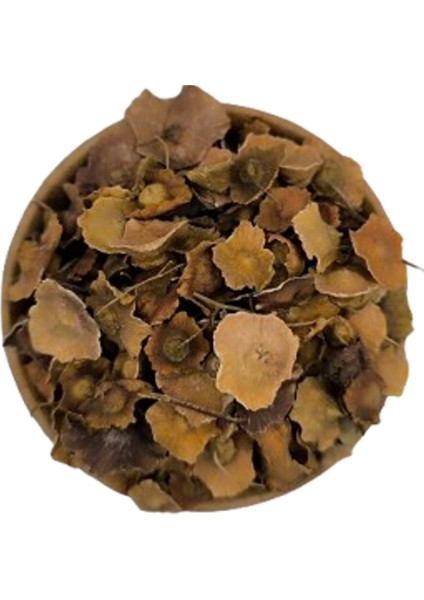Karaçalı Otu 25 gr fırsatları