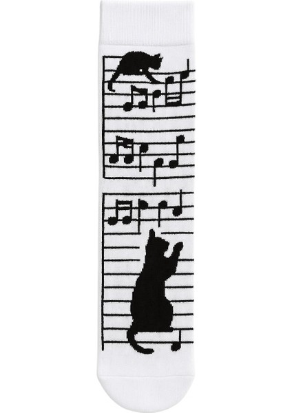 Kedi Temalı 4’lü Çorap Seti Eğlenceli ve Renkli Desenlerle indirimleri