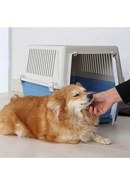 Kedi Taşıma Kutusu, Küçük Orta Boy Köpek Taşıma Kutusu, 15 Kg'a Kadar Köpek ve Kediler modelleri