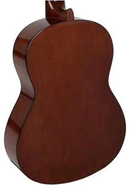 CX40II Elektro Klasik Gitar