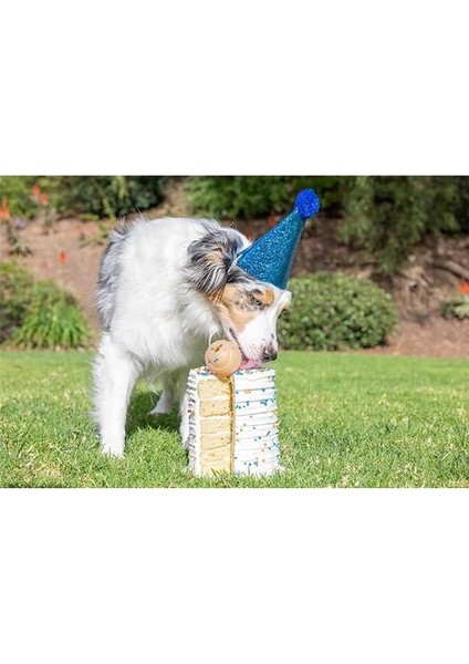 ! Doğum Günü Topu, Orta Boy (6 cm Çap), Yüksek Zıplama, Yüzebilen Dayanıklı Kauçuk Köpek Oyun modelleri