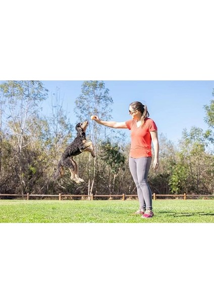 ! Doğum Günü Topu, Orta Boy (6 cm Çap), Yüksek Zıplama, Yüzebilen Dayanıklı Kauçuk Köpek Oyun indirimleri