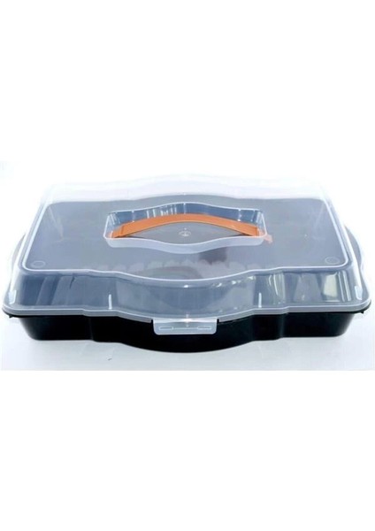 CK-349 Baton Kek Fanusu, Standart modelleri