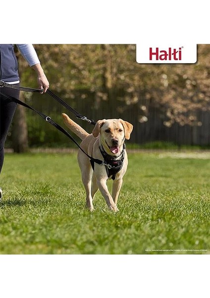 Halti Eğitim Tasma Kayışı - Çekme Önleyici,köpek Eğitimine Yardımcı, Yavru Köpek Yürüyüşleri Için fırsatları