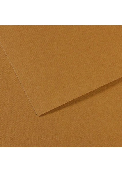 Fon Kartonu (Dokulu) Mı-Teıntes 25 Li 50X65 160 gr 336 Cachou 200321034