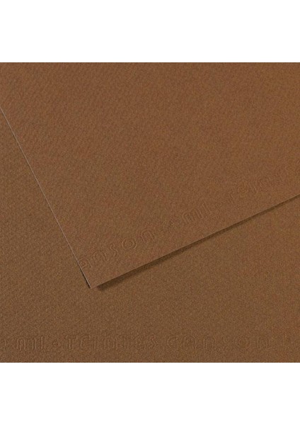 Fon Kartonu (Dokulu) Mı-Teıntes 25 Li 50X65 160 gr 133 Sepia 200321404