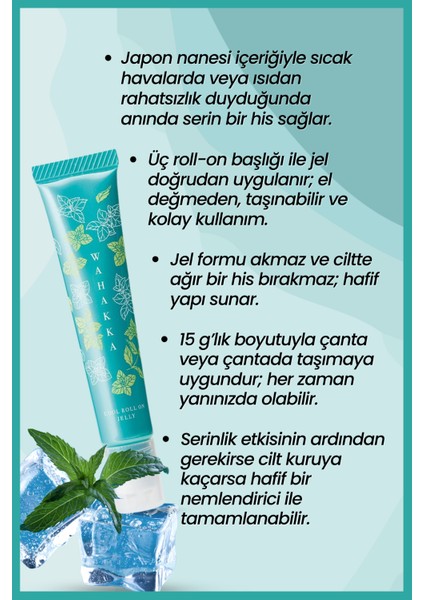 Junsuhada Japon Naneli Roll-On Jel fiyatları