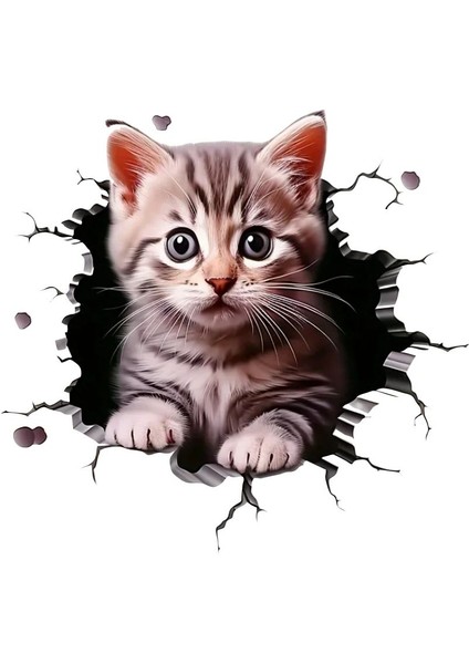 3D Kedi Motorsiklet,cam, Laptop, Kask, Araba Sticker 13X13 cm