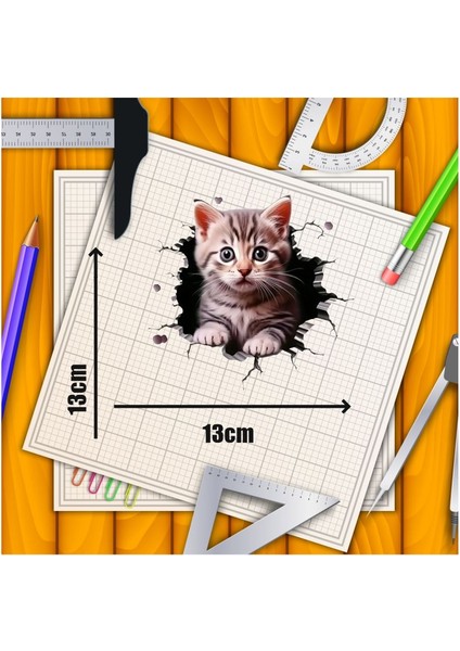 3D Kedi Motorsiklet,cam, Laptop, Kask, Araba Sticker 13X13 cm fiyatları