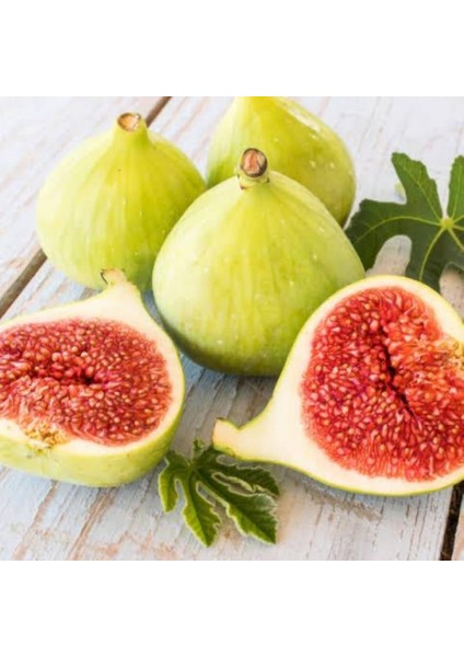 Tüplü Aydın Sarı Lop Incir Fidanı