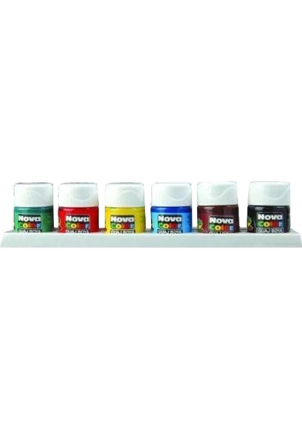 Guaj Boya Şişe 6 Renk 25 ml NC-113
