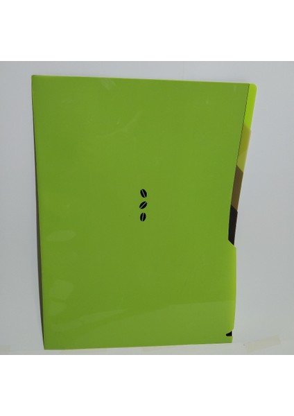 L Dosya A4 4 Lü Florasan Renkler A7434