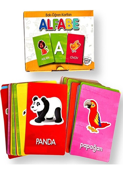 Bak Öğren Kartları Harfler