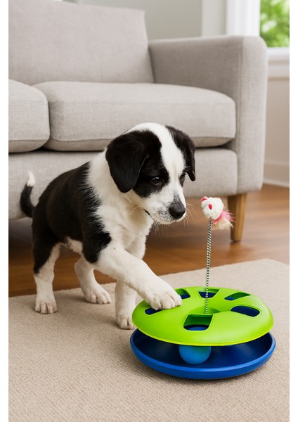 Çıngarak Toplu Yaylı Kedi Çember Oyuncağı -Kedi Köpek Toplu Oyuncak- fiyatları