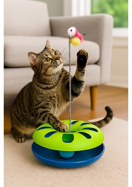 Çıngarak Toplu Yaylı Kedi Çember Oyuncağı -Kedi Köpek Toplu Oyuncak- modelleri