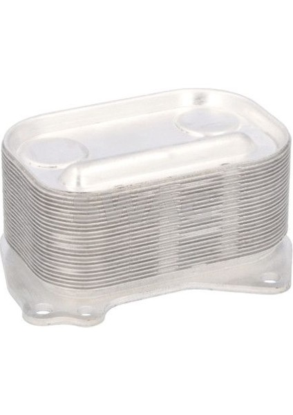 Depomix Otomatik Sanziman Yag Sogutucusu Bmw F20 F21 F30