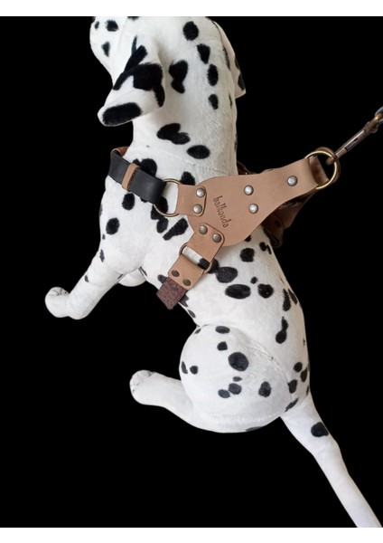Köpek göğüs tasması hakiki deri siyah vizon kahverengi genişlik:2,5cm göğüs ölçüsü:60-90cm ayarlamalı dog harness GT1-17 fiyatları