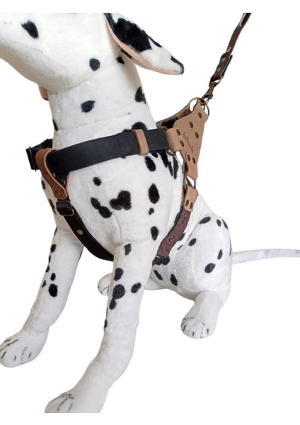 Köpek göğüs tasması hakiki deri siyah vizon kahverengi genişlik:2,5cm göğüs ölçüsü:60-90cm ayarlamalı dog harness GT1-17 fırsatları