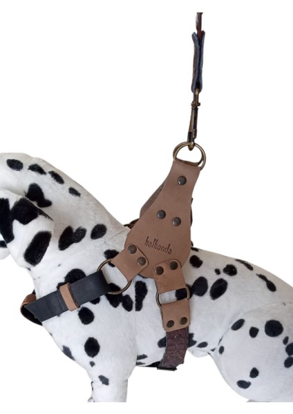 Köpek göğüs tasması hakiki deri siyah vizon kahverengi genişlik:2,5cm göğüs ölçüsü:60-90cm ayarlamalı dog harness GT1-17