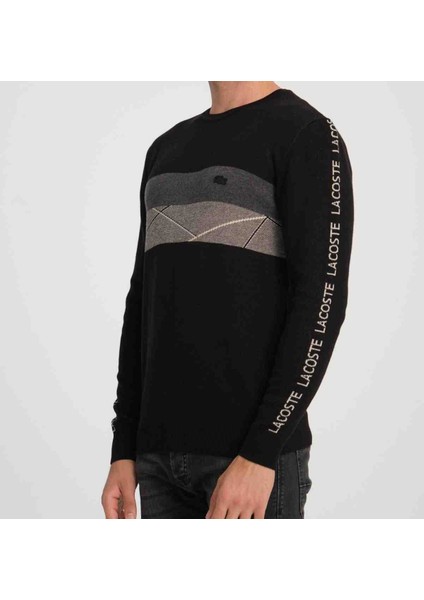 Bisiklet Yaka Desenli Siyah Regular Fit Kazak