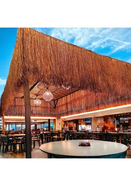 Hasır Püskül Otu Saçaklı Ot 1 Metre x 75 cm fırsatları