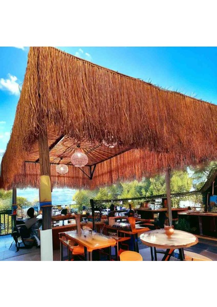 Hasır Püskül Otu Saçaklı Ot 1 Metre x 75 cm indirimleri