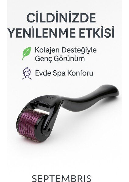 Titanyum 1.0 mm – 540 Mikro Iğneli Cilt Yenileyici, Kolajen Destekli Evde Spa Bakım Alet fiyatları
