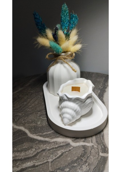 Dekoratif Mini Vazo & Deniz Kabuklu Mum Seti – El Yapımı Şık Tasarım fırsatları