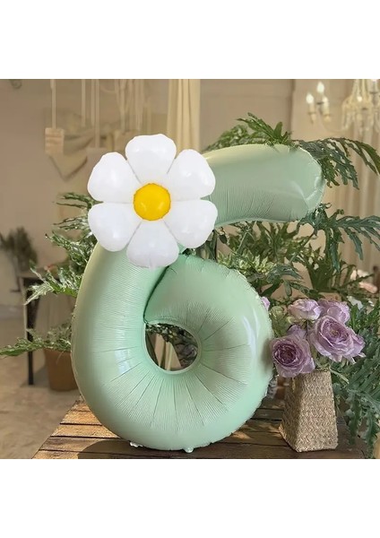 2li Adaçayı Yaşili Papatya Folyolu Yaş Balon Set