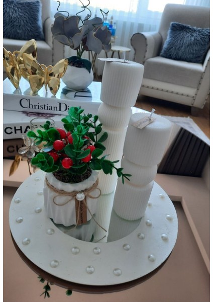 Alçı Saksılı Mini Sunum Çiçeği Kırmızı Kokina