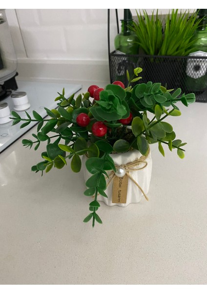 Alçı Saksılı Mini Sunum Çiçeği Kırmızı Kokina fiyatları