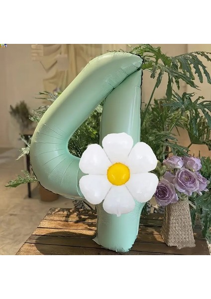 2li Adaçayı Yaşili Papatya Folyolu Yaş Balon Set