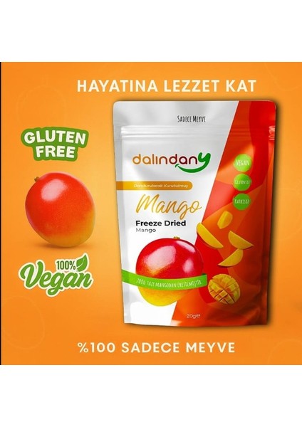 Freeze Dried Dondurularak Kurutulmuş Mango Dilimleri 20 Gram X3 fiyatları