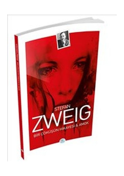 Bir Çöküşün Hikayesi ve Amok