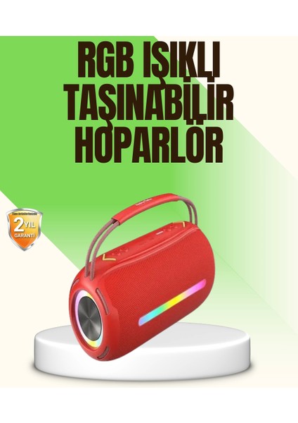 Rgb LED Işıklı 20W Taşınabilir Bluetooth Hoparlör Ipx6 Suya Dayanıklı