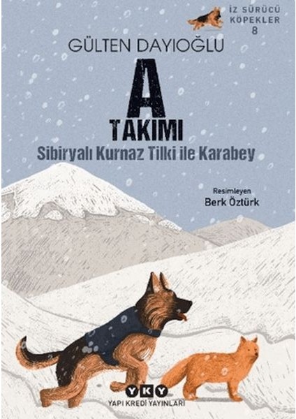 A Takımı Iz Sürücü Köpekler 8 - Sibiryalı Kurnaz Tilki Ile Karabey