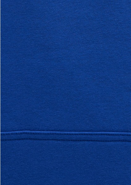 Mavi Logo Baskılı Kapüşonlu Mavi Sweatshirt 067149-70907