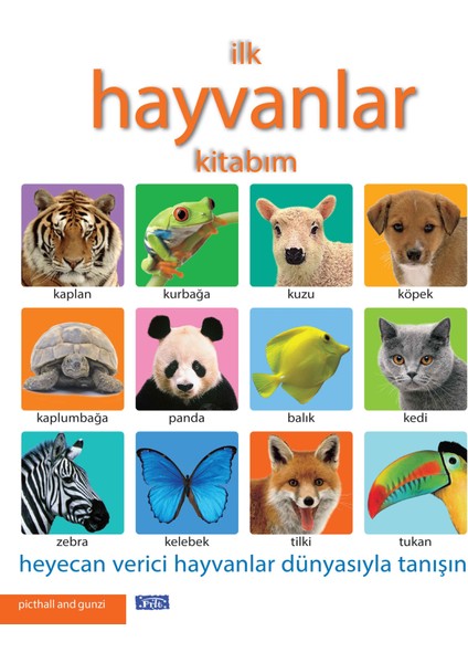 Ilk Hayvanlar Kitabım
